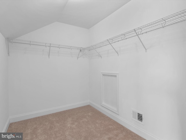 walk in closet featuring lofted ceiling and carpet flooring