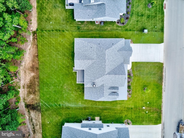 drone / aerial view