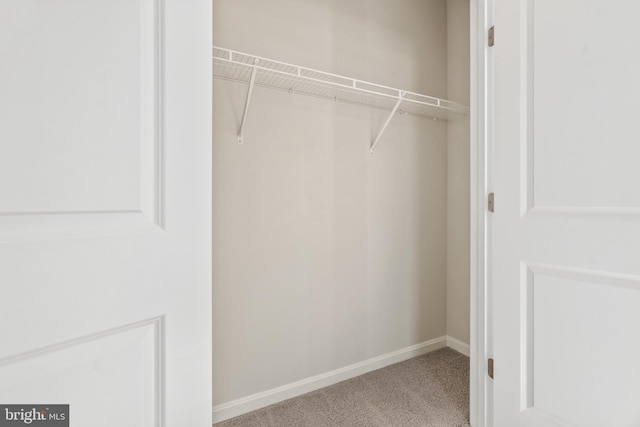 view of closet