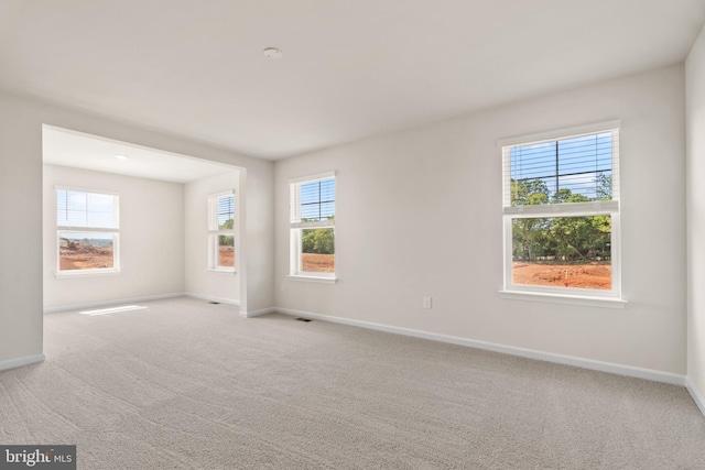 unfurnished room with light carpet and a wealth of natural light