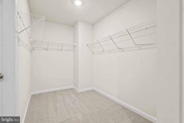 walk in closet featuring light carpet