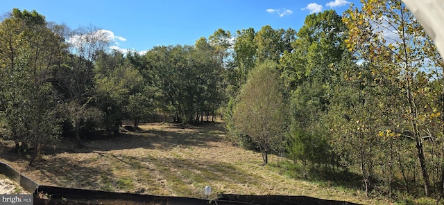 view of local wilderness