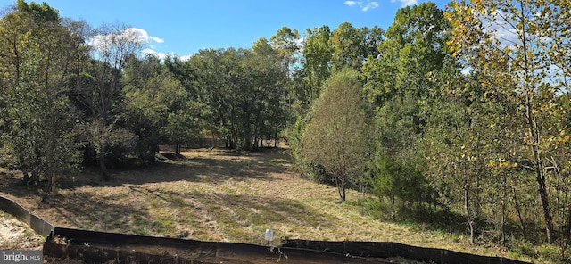 view of local wilderness