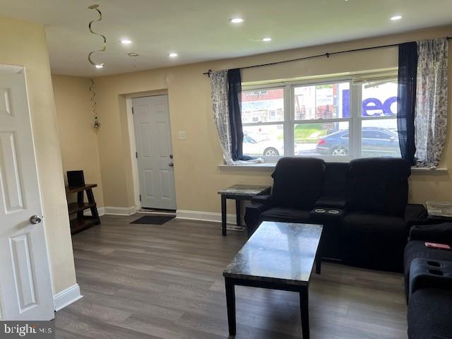 living room with wood-type flooring