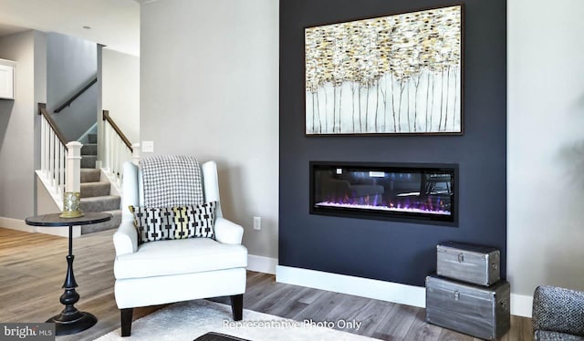 living area with dark hardwood / wood-style floors