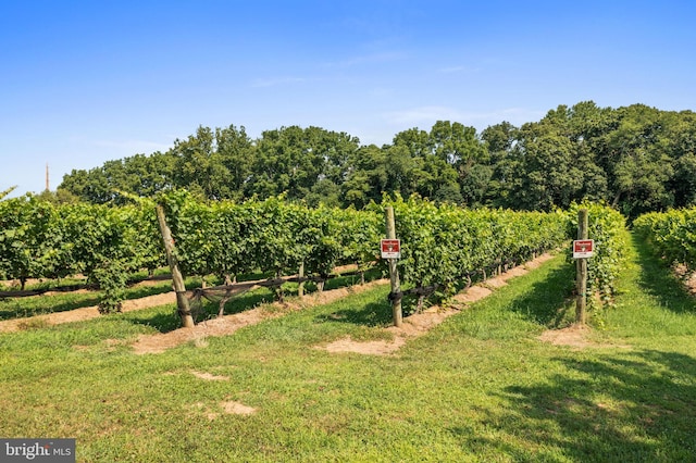 surrounding community with a yard and a rural view