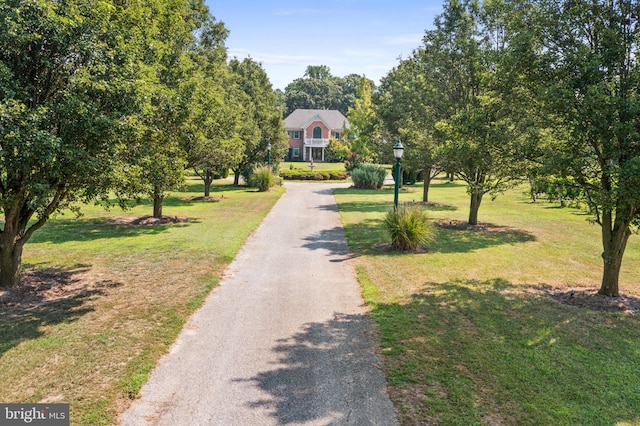 exterior space featuring a yard