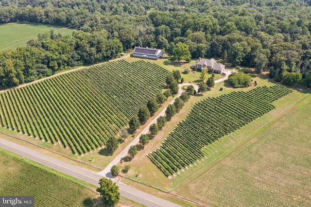 aerial view with a rural view