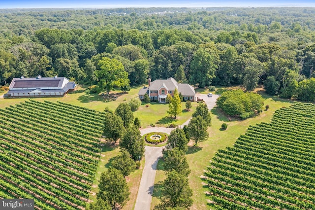 birds eye view of property featuring a rural view