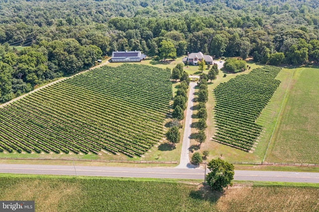 drone / aerial view with a rural view