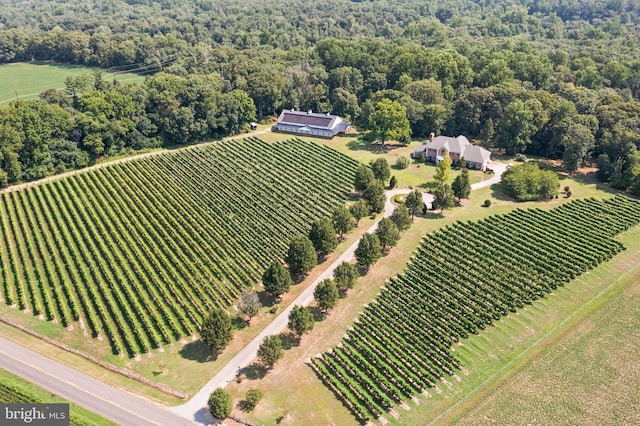 birds eye view of property featuring a rural view