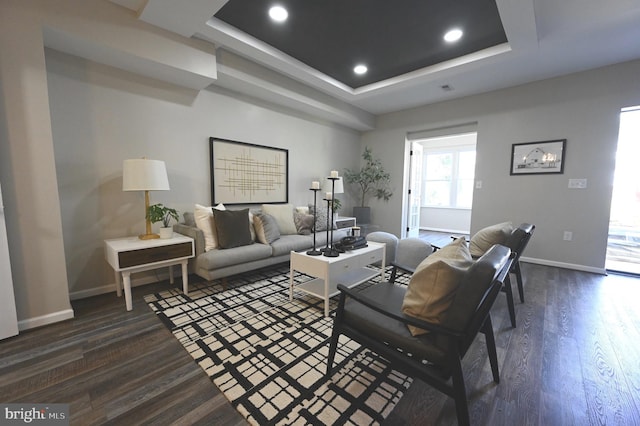 living room featuring dark hardwood / wood-style flooring and a raised ceiling