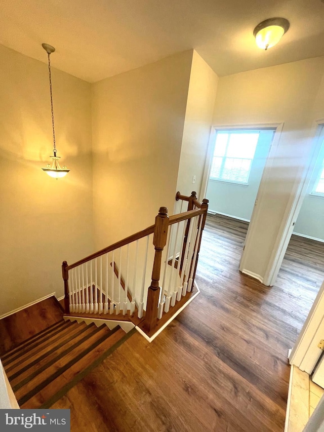 staircase featuring hardwood / wood-style flooring