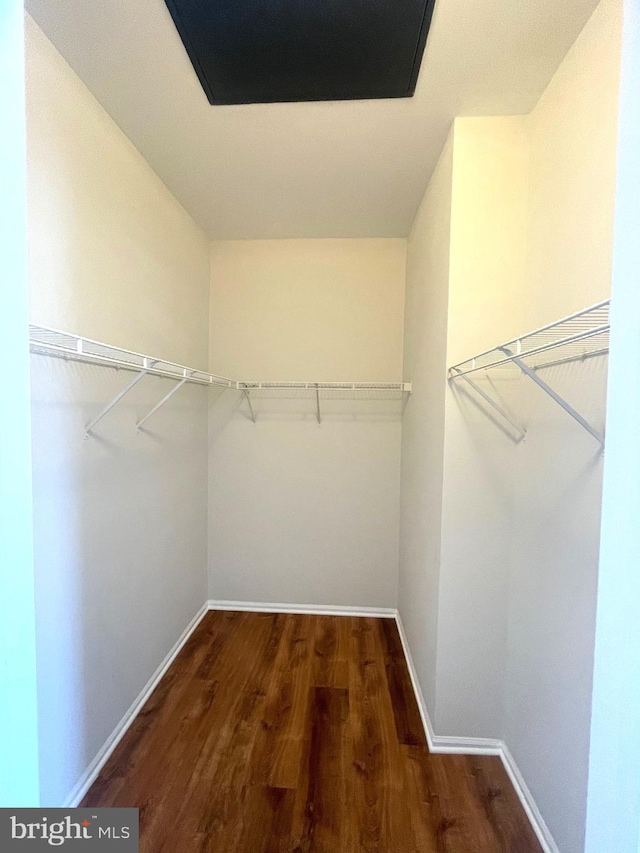 spacious closet with dark wood-type flooring