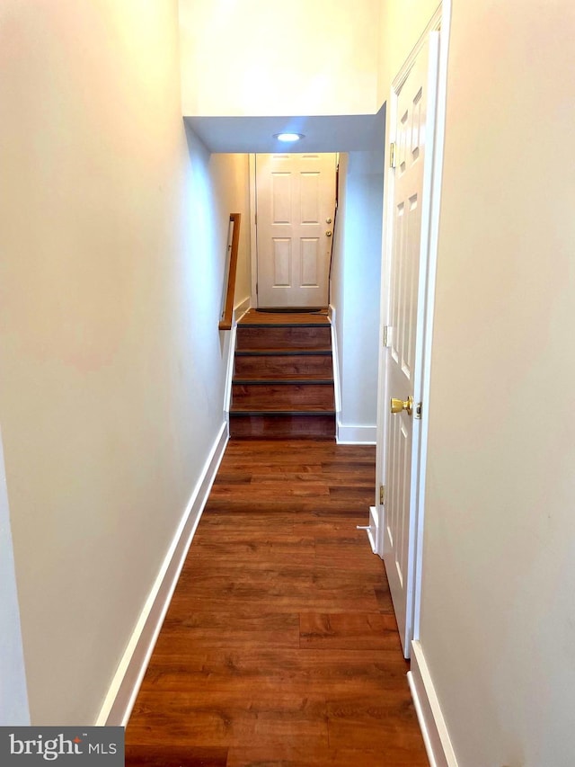 hall featuring dark wood-type flooring