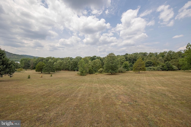 view of local wilderness with a rural view