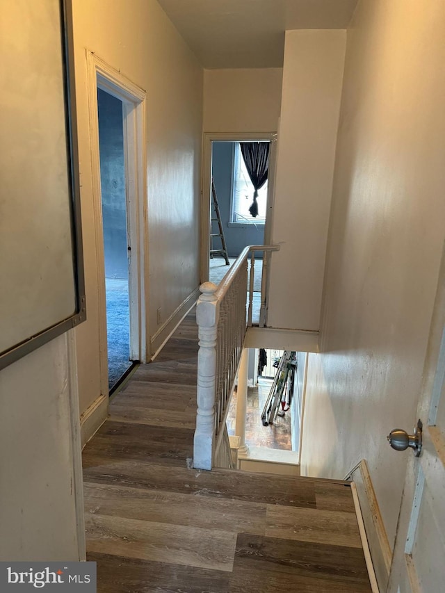 staircase featuring hardwood / wood-style flooring