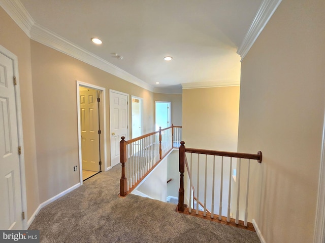 hallway with ornamental molding and carpet flooring