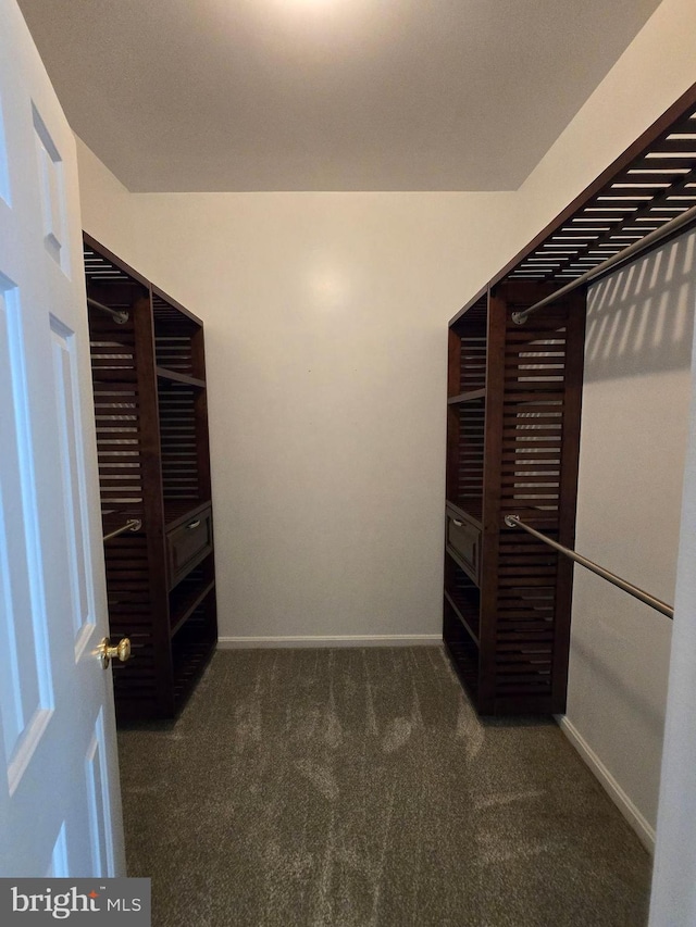 walk in closet featuring dark carpet