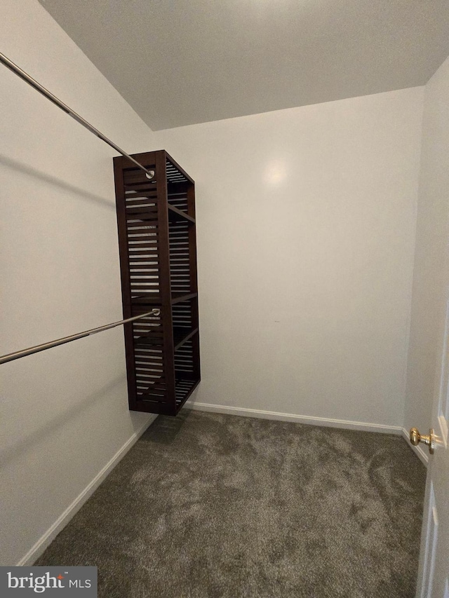 walk in closet featuring dark colored carpet