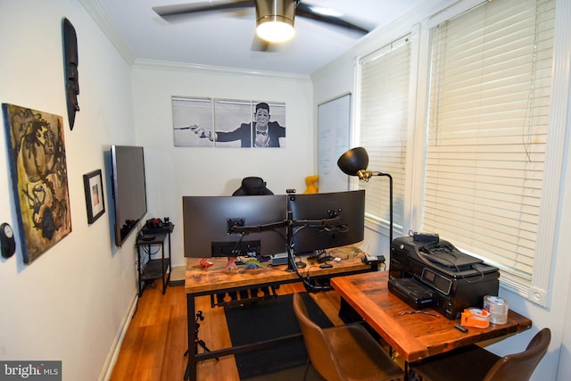 office with ceiling fan, ornamental molding, and hardwood / wood-style floors