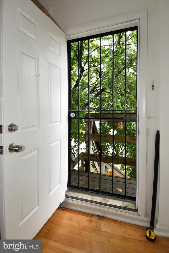 doorway to outside with wood-type flooring