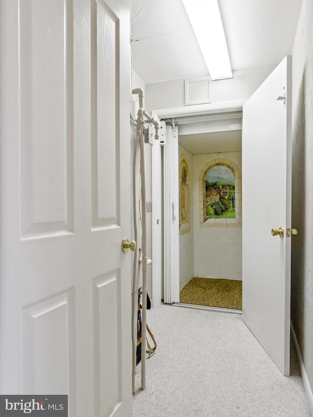 hall featuring carpet flooring