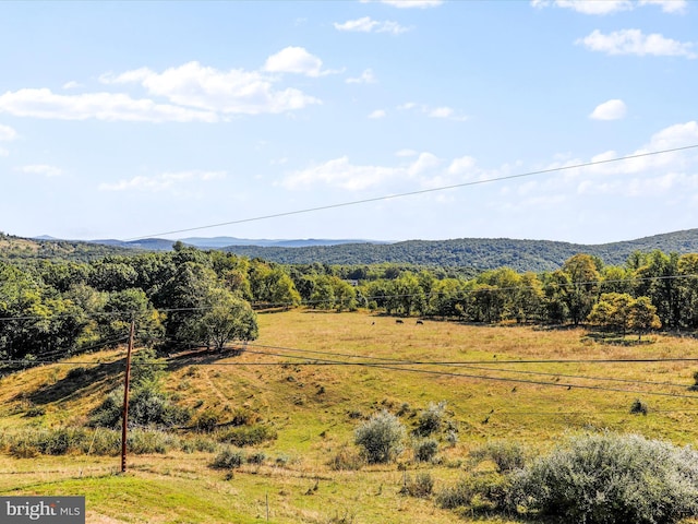 property view of mountains with a rural view and a wooded view