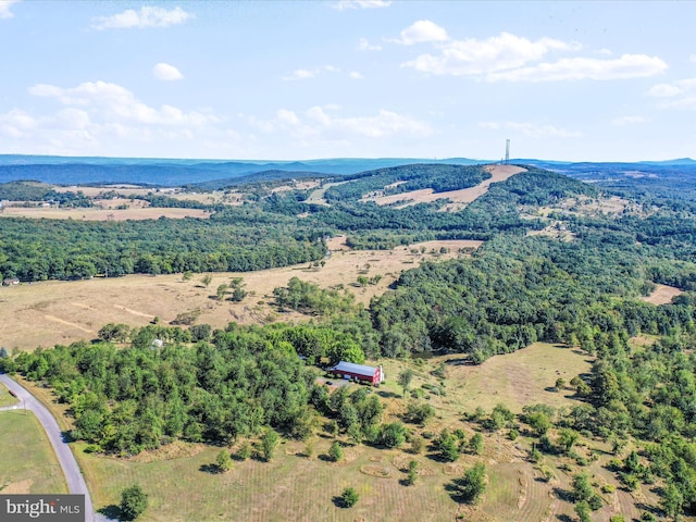bird's eye view