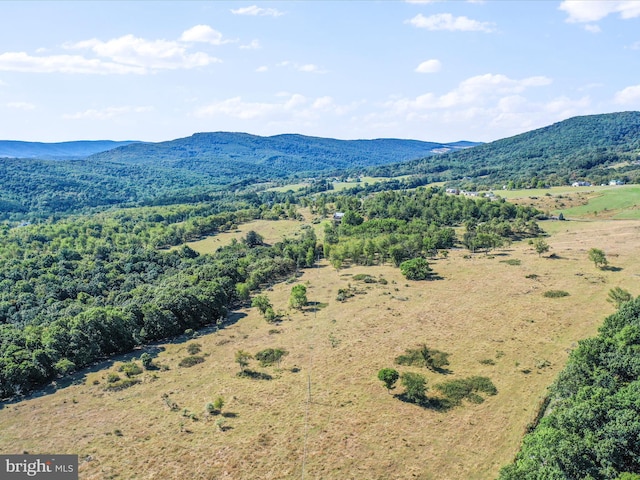 birds eye view of property with a mountain view