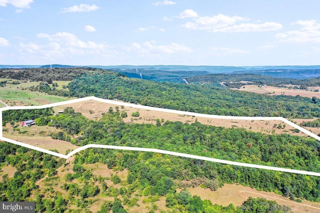 birds eye view of property with a wooded view