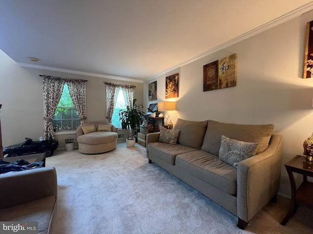 carpeted living room featuring crown molding