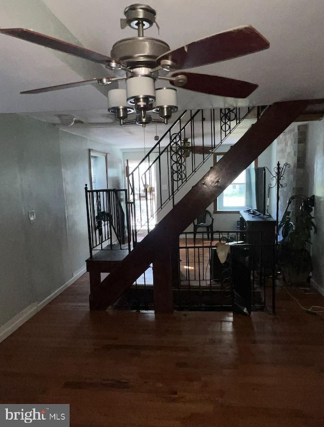 stairs featuring ceiling fan and hardwood / wood-style floors