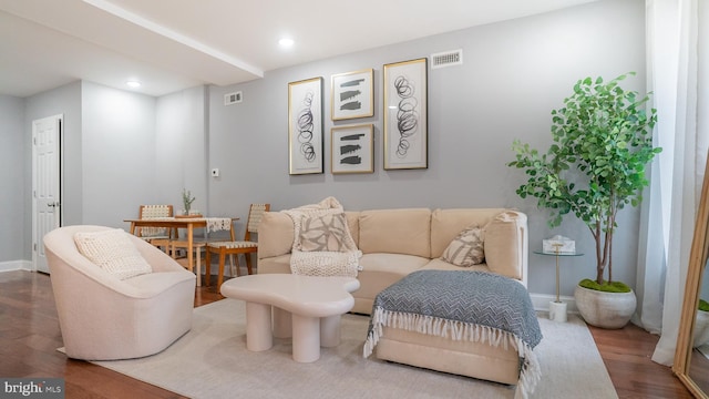 living room featuring hardwood / wood-style floors