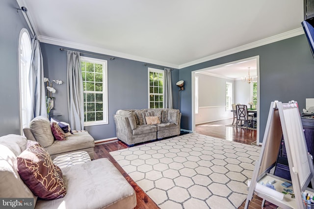 living room featuring hardwood / wood-style flooring, crown molding, a wealth of natural light, and a notable chandelier