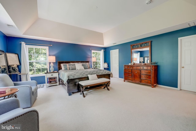 carpeted bedroom featuring a raised ceiling and a closet