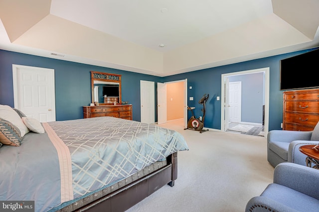 bedroom with carpet flooring and a tray ceiling