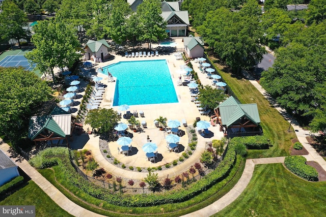 view of swimming pool