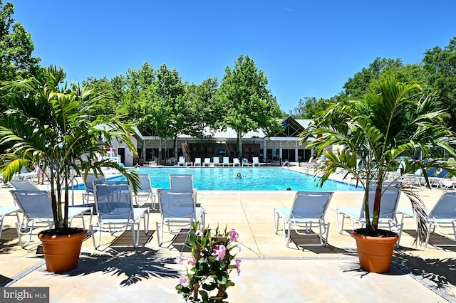 pool featuring a patio area