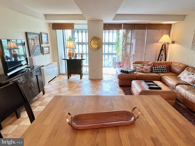 living area with a raised ceiling