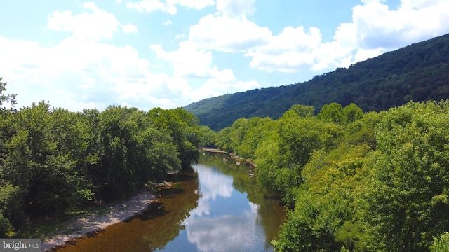5 Clarence Taylor Rd, Springfield, WV 26763