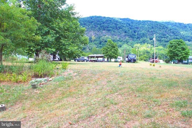5 Clarence Taylor Rd, Springfield, WV 26763