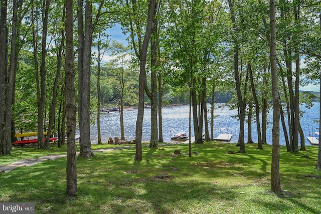 view of water feature