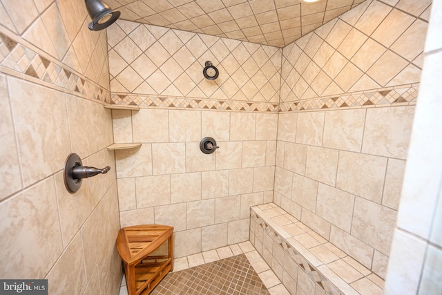 full bathroom with a tile shower