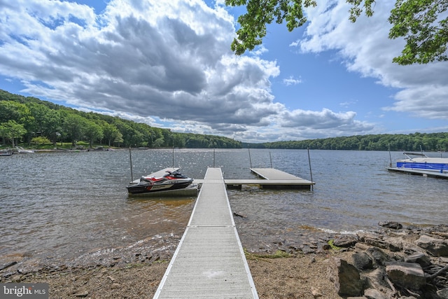 dock area featuring a water view and a forest view