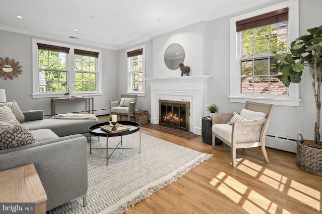 living room with a baseboard radiator, ornamental molding, a wealth of natural light, and light hardwood / wood-style flooring