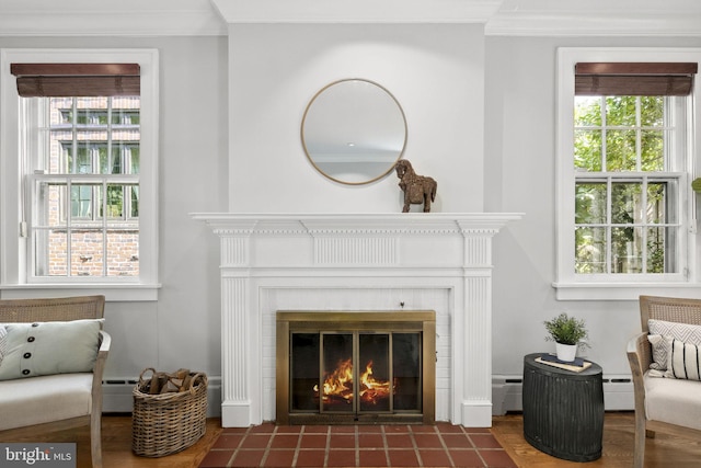 interior space with baseboard heating, a fireplace, and a wealth of natural light