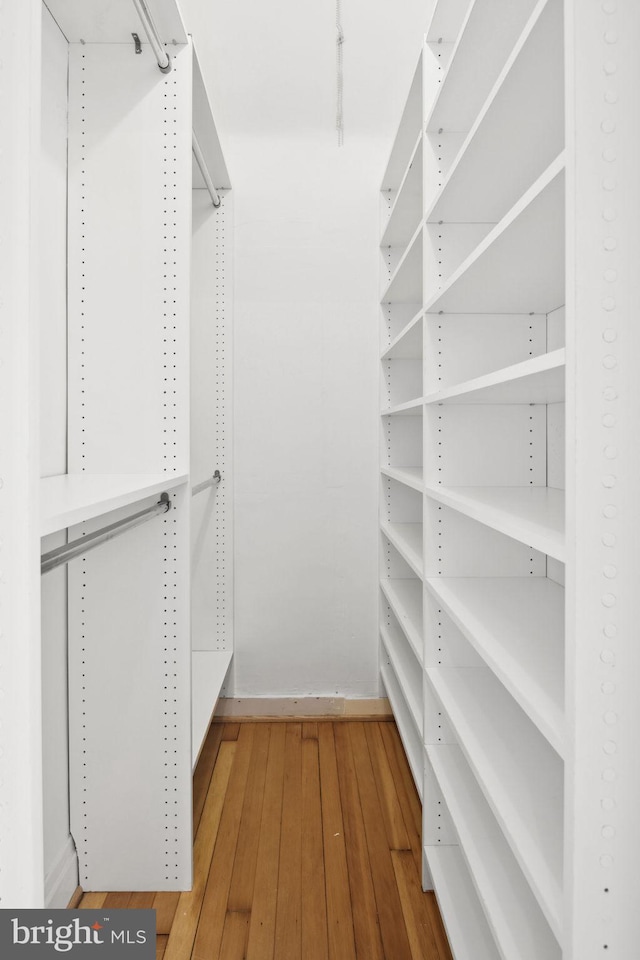 spacious closet featuring wood-type flooring