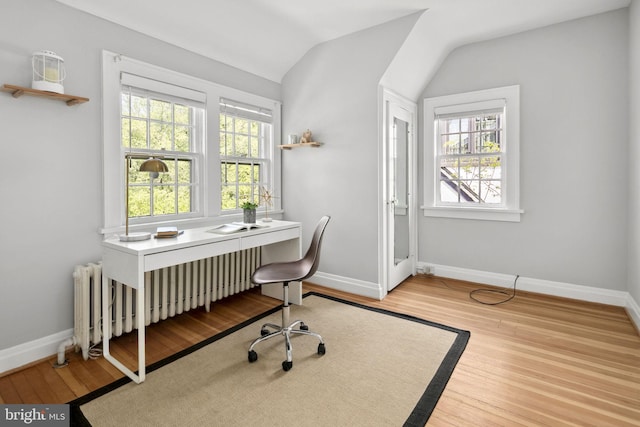 office area featuring lofted ceiling, radiator, a wealth of natural light, and light wood-type flooring