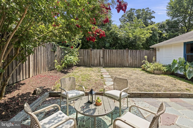 view of yard featuring a patio area